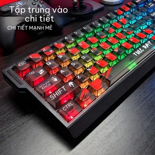 [Ship nhanh] Keycap HUNTER X Trong Suốt 136 Phím – Profile Cherry - Nhựa PC-Xuyên LED - CooBeStore