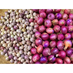 TỎI CÔ ĐƠN Nhỏ KHÔ -1KG TẶNG 500G HÀNH TÍM