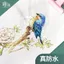 Jin Shen Bút mực chống thấm nước Bút nhúng Bàn chải màu sắc truyện tranh Màu nước cao cấp Mực màu khô nhanh