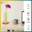 BVY Hoạt Hình Dễ Thương Acrylic Coaster Hình Dạng Không Đều Tấm Lót Bát Chịu Nhiệt Cho Cà Phê, Trà, Đồ Uống Nóng Bảo Vệ Bàn Trang Trí Bàn Làm Việc.