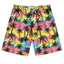 2026 Mới Cây Dừa Họa Tiết 3D In Unisex Nhanh Khô Đi Biển Quần Short