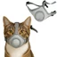 Mặt nạ muzzle cho thú cưng Chống kem Chống cắn Chống phương Tây Ăn mèo thoáng khí Mõm thú cưng26060513