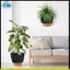 Chậu trồng cây treo lớn, 10 Inch cho cây trong nhà / ngoài trời, Móc treo chậu cây tự tưới cây
