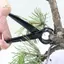 Mô Hình Phong Cảnh Vườn Cây Cảnh Dụng Cụ Cắt Núm Cây Cảnh 210mm Cắt Cạnh lõm Kìm Cắt Rễ Cắt Bóng Kéo mới