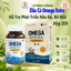 Dầu Cá Omega Extra DHA Của VNGPV Hỗ Trợ Phát Triển Não Bộ, Bổ Mắt, Cải Thiện Thị Lực - Lọ 30 Viên