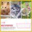Đồ dùng cho ăn nhỏ cho thỏ trong nhà Hay Giỏ treo Bunny khxinggao