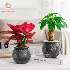 Chậu cây thủy canh PWSEND, Chậu hoa có thể tháo rời bằng nhựa, Trang trí cây cảnh văn phòng tự tưới cây cảnh