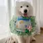 Monet Garden Series Chó Vuông Nước Bọt Khăn Nhỏ Vừa Lớn Chó Lớn Samoyed Khăn Yếm Thú Cưng
