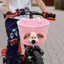 Giỏ Xe Đạp Giỏ Hàng Tiện Lợi Dễ Dàng Lắp Đặt Chó Tàu Sân Bay Hành Lý Bảo Quản Cho Xe Đạp Leo Núi Du Lịch Đi Ngoài Trời