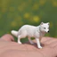 Đồ chơi mô hình động vật hoang dã mô phỏng Sile Arctic Fox White Fox 2018