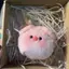 SRVN Squeak Lợn Ngọc Trai Dễ Thương Có Kính Mát Sang Trọng Búp Bê Móc Khóa Sáng Tạo Kawaii Lông Tơ Đồ Chơi Nhồi Bông Mềm Bapa Mặt Dây Chuyền Cho Trẻ Em Quà Tặng.