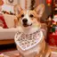 Thú Cưng Phong Cách Mới Nước Bọt Khăn Nhỏ Vừa Lớn Chó Bên Chó Shepherd Golden Retriever Alaska Chó Dễ Thương