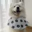 2026 Thú Cưng Chó Trung Bình Chó Lớn Samoyed Biên Giới Golden Retriever Alaska Hoạt Hình Dễ Thương Nước Bọt Khăn