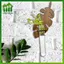 SWEET Nghệ thuật hiện đại bằng gỗ Monstera treo tường với ống nghiệm thủy canh Lý tưởng để trang trí nhà cửa n