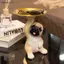 Khay đựng tượng Pug sáng tạo Khay đựng chìa khóa chó dễ thương Kẹo ốc sên Tấm lưu trữ Điêu khắc động vật Đồ trang trí văn phòng Trang trí để bàn [VN]