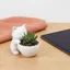 DONOVANQQ Chậu hoa nhỏ, Chậu trồng cây hình mèo in 3D, Đồ trang trí cửa sổ Trang trí sân vườn Bàn trồng cây xương rồng