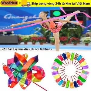 GỖ Nhiều Màu Sắc Tập Gym Ruy Băng 10 Màu Sắc Thể Dục Ruy Băng Ballet Streamer Nghệ Thuật Thể Dục Dụng Cụ Ruy Băng