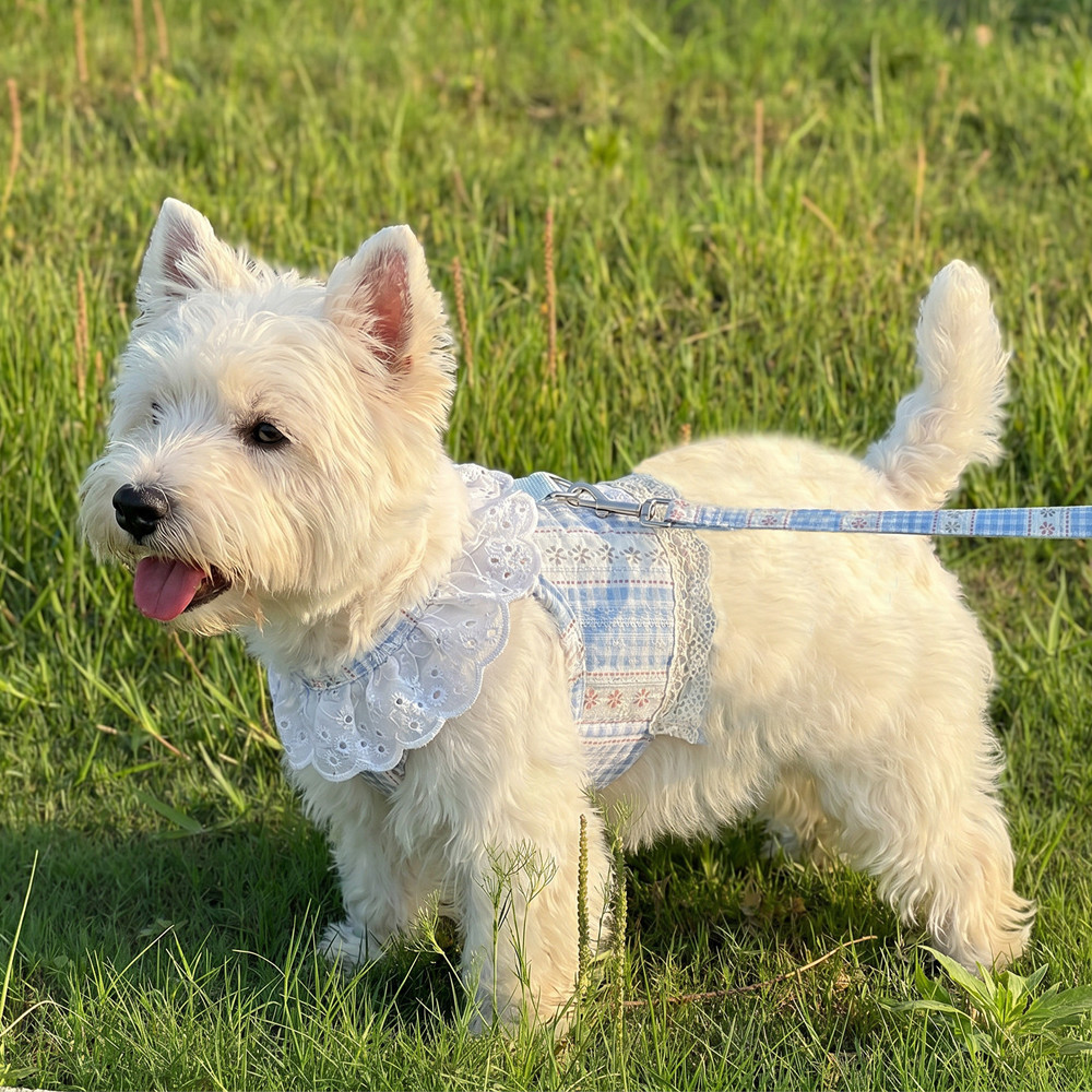Thú Cưng Chó Ngực Lưng Dây Xích Hoa Pháp Ren Áo Phong Cách Phá Vỡ Đi Chơi Chuyên Dụng Chó Nhỏ Bichon Ren Đi Bộ Mèo Chó Dây Xích