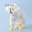 Hoạt Hình Cao Cấp Cho Thú Cưng Silicone Giày Đi Chơi Chó Con Chống Trơn Trượt Chống Mài Mòn Chống Thấm Nước Cho Chó Giày Teddy Chân26060301