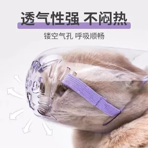 Ngăn ngừa trầy xước cho mèo26060513