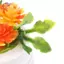 HFTOY 3 chiếc 1: 12 Nhà búp bê Cây xanh thu nhỏ trong chậu Mô phỏng cây trồng trong chậu ~