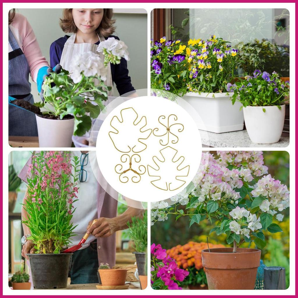 Monstera Hỗ Trợ 4 Miếng Kim Loại Hoa Cổ Phần Hình Monstera Hỗ Trợ Cây Cho Nhà Kính Sân Sau Bãi Cỏ shopidaevn