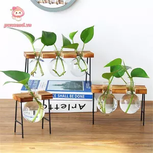 Bình thủy tinh PWSEND Vintage Planter Trang trí nội thất Khung gỗ