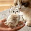 Nam châm lưu niệm tóc SMILE, Nam châm tủ lạnh tưởng niệm thú cưng từ tính trong suốt, Lưu trữ râu Hình mèo Cá tính Nam châm lưu trữ từ tính nhẹ Trang trí nội thất