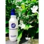 Dầu gội ngăn rụng tóc R&B Collagen Shampoo 450ml [ MK ]