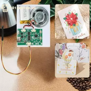 Ge 1 Cái 8M USB Ghi Được Thẻ Sinh Nhật Âm Nhạc Mô Đun Giọng Nói Chip Cho Giọng Nói Đồ Chơi Âm Thanh Thiệp Chúc Mừng DIY Ghi Và Playba Mô Đun n