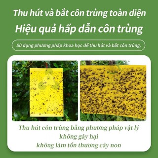 Bẫy ruồi vàng, bẫy màu côn trùng 2 mặt - Hiệu quả với nhiều loài gây hại cho vườn lan, rau hoa màu và cây ăn trái-SUNND