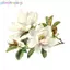 Khung Ảnh 15 * 15cm Hoa Hồng Đỏ Lãng Mạn Vệ Sinh Stier Phòng Tắm Trang Trí Nhà Vệ Sinh Tủ Phòng Khách Tủ Lạnh Trang Trí Nhà Đề Can VN
