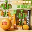 Đồ chơi Robot biến dạng vui nhộn cho trẻ em Nhà chơi Mô phỏng khoai tây chiên Pháp Burger Kem Giáo dục Bé trai Bé gái Quà tặng 260529