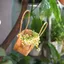 Giỏ Gỗ MARGREDY, Dệt Tay Có Tay Cầm Giỏ Trái Cây, Handmade Chất Lượng Cao 3 Kiểu Giỏ Bảo Quản Bím Tóc Gia Đình Trang Trí Phòng Khách