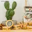 Băng họa tiết cần câu sáng tạo cho đồ thủ công DIY, gói quà, trang trí nhật ký FSI