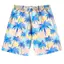 2026 Mới Cây Dừa Họa Tiết 3D In Unisex Nhanh Khô Đi Biển Quần Short