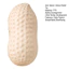 < Pluscloth > 3 Đồ chơi giảm căng thẳng đậu phộng khổng lồ chậm - Bóp bóng Fidget cho trẻ em Người lớn Thư giãn Giảm lo âu Bóng căng thẳng hoàn hảo cho người mua Đông Nam