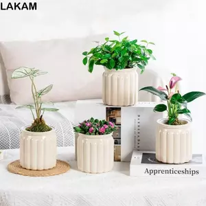 Chậu cây thủy canh LAKAM, Chậu hoa nhựa tự tưới, Trang trí cây cảnh văn phòng có thể tháo rời