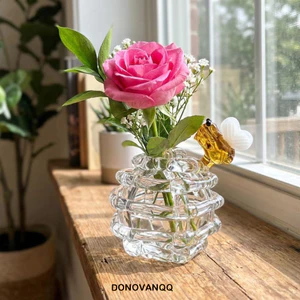 Bình bi thủy tinh nhỏ DONOVANQQ, bình hoa thủy canh Zen trong suốt, đế độc đáo, bình cắm hoa trang trí nội thất