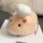 Đồ chơi Hamster sang trọng PYCOU, Túi đậu vải mềm mại đầy thú nhồi bông, Mô phỏng cẩn thận Chuột xuất hiện Kawaii / Thiết kế đáng yêu Squeezable Trang trí bàn búp bê chuột dễ thương