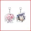 BH2 Honkai: Star Rail Acrylic Móc Khóa Mật Mã Mặt Dây Chuyền Túi Hyacinthia Phụ Kiện Trò Chơi Anime Ngoại Vi HB2