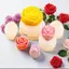 MỚI 1 Cái Handmade Thạch Cao Nhựa Khuôn DIY Hoa Tulip Hoa Hồng Khuôn Silicon Tự Chế Bánh Quy Sô Cô La Kẹo Nướng Dụng Cụ SKY