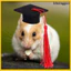 Thú Cưng Tốt Nghiệp Mũ Có Tua Rua Hamster Tốt Nghiệp Đảng Mũ Động Vật Nhỏ Tốt Nghiệp Trang Phục Trang Trí Cử Nhân Mũ Cho Chuột Lang Mèo Con Chó Con Đạo Cụ Ảnh khxinggao