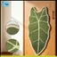Bảng cào mèo Sisal-Thống rách, dính cho mọi bề mặt Đồ chơi cho mèo