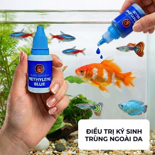 [Mua 10 Tặng 2] Xanh Methylene Cho Cá Cảnh – Hỗ Trợ Giảm Nguy Cơ Nấm, Đốm Trắng, Ký Sinh Trùng