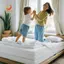 Dải thay thế 8 chiếc cho giá đỡ Drap giường, Dây đeo tương thích cho hầu hết các giá đỡ tấm khóa