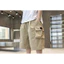Mùa Hè Nhiều Mẫu Mới Bé Trai Hàng Hóa Thường Ngày Quần Short 5 Điểm Hợp Thời Trang Giữa Chiều Dài Cho Trẻ Lớn Tuổi