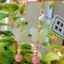 Bông Tai Bướm Bạc 925 Bông Tai Kim Nữ Cao Cấp Phong Cách Trung Hoa Hanfu Sườn Xám Phụ Kiện Bông Tai Dài Phong Cách Chống Dị Ứng 5.31