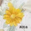 Bút ống màu thơ Mực sơn màu nước dạng lỏng Bút chống thấm nước Bút chống nhòe Màu mực mực mực màu đặc biệt