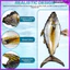 Hawaii Bóng Bay Bơm Hơi Cá Chủ Đề Tiệc Bóng Bay Phụ Kiện Sinh Nhật